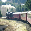 T02058 997234 Sorge - 20100402 Harz