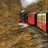 T02043 997234 Steinerne Renne - 20100401 Harz