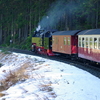 T02061 997234 Sophienhof - 20100402 Harz