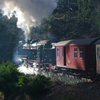 T02045 997234 Drei Annen Hohne - 20100401 Harz