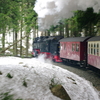 T02046 997234 Eckerloch - 20100401 Harz