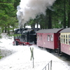 T02049 997234 Eckerloch - 20100401 Harz