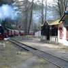 T02073 997241 Steinerne Renne - 20100402 Harz