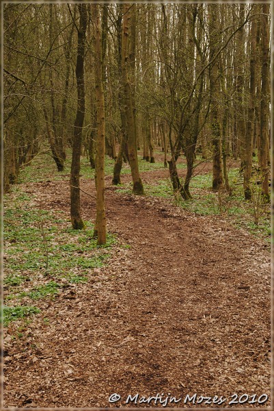 DSC 0269-border Natuurfoto's