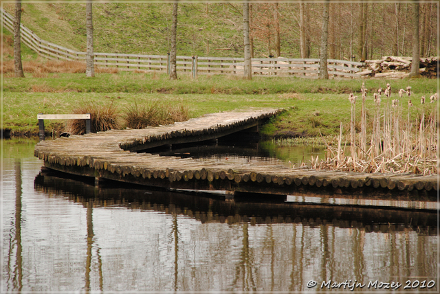 DSC 0294-border Natuurfoto's