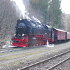 T02081 997241 Steinerne Renne - 20100402 Harz