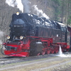 T02080 997241 Steinerne Renne - 20100402 Harz