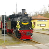 T02126 996101 Silberhutte - 20100404 Harz