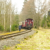 T02129 996101 Silberhutte - 20100404 Harz