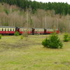 T02131 996101 Silberhutte - 20100404 Harz