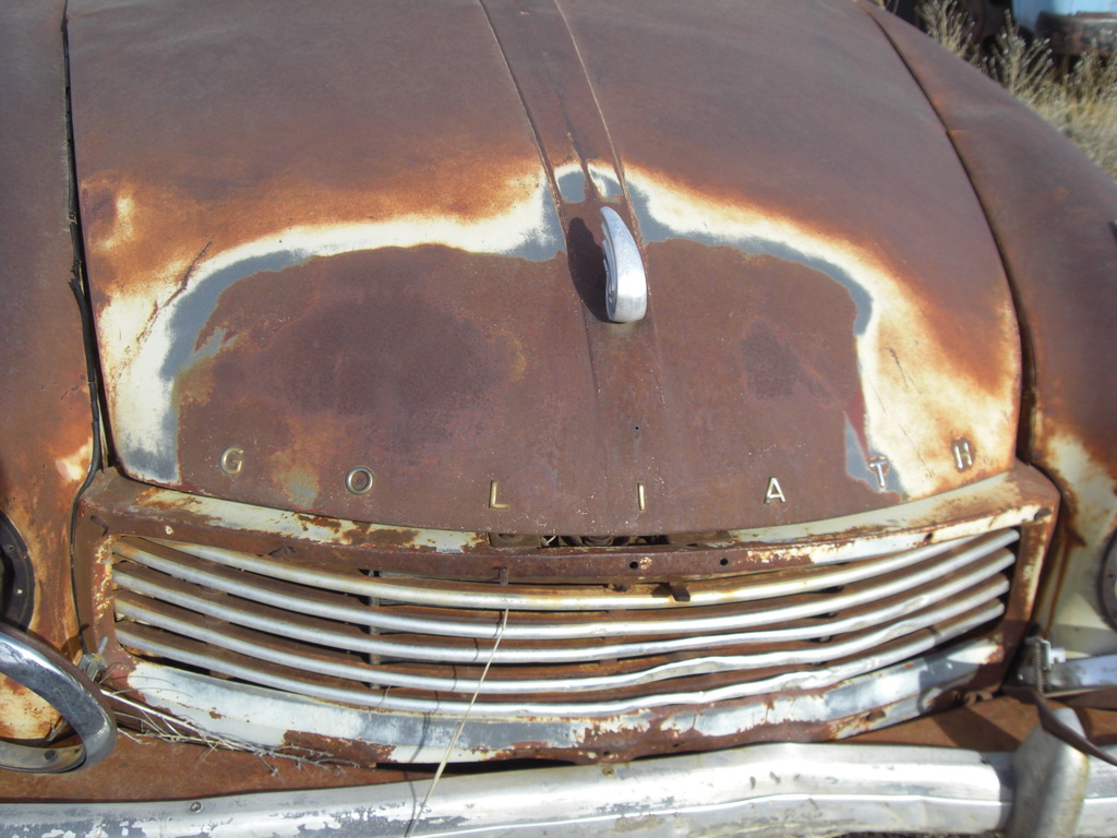 p0242 - Fotosik - Luty 2009