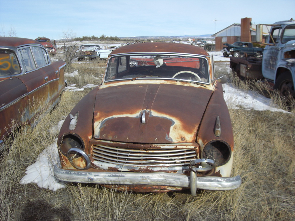 p0241 - Fotosik - Luty 2009