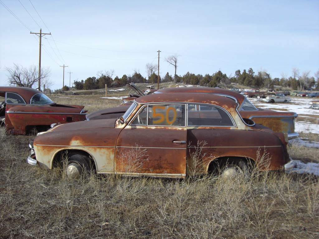 p0239 - Fotosik - Luty 2009