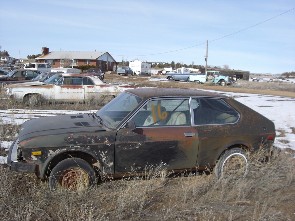 p0231 - Fotosik - Luty 2009