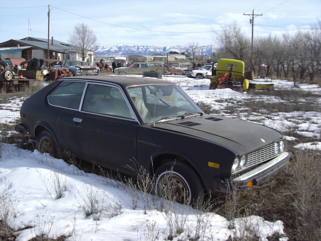 p0228 - Fotosik - Luty 2009