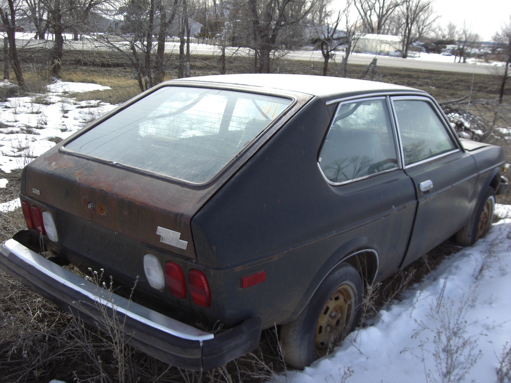 p0227 - Fotosik - Luty 2009