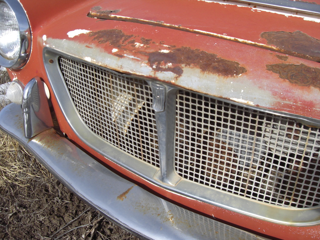 p0207 - Fotosik - Luty 2009