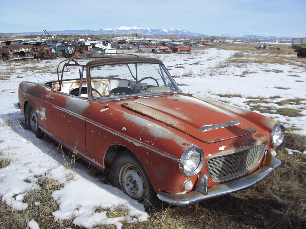 p0204 - Fotosik - Luty 2009