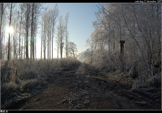 DSC 6794-border Nature calls