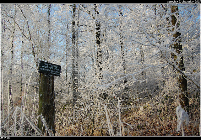 DSC 6799-border Nature calls