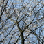 P1140677 - Amsterdam Noord