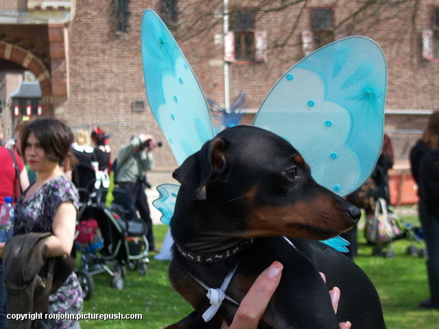 Elf Fantasy Fair 24-04-10 (55) John en Evelien bij de Elf Fantasy Fair 2010