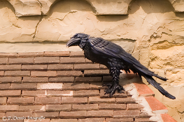 19 efteling divers