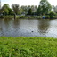 P1150065 - amsterdam