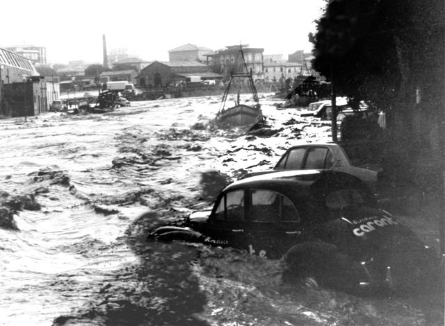 31060 115406681830950 100000848569383 87534 555529 - 