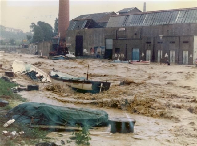 31060 115406701830948 100000848569383 87540 443263 - 