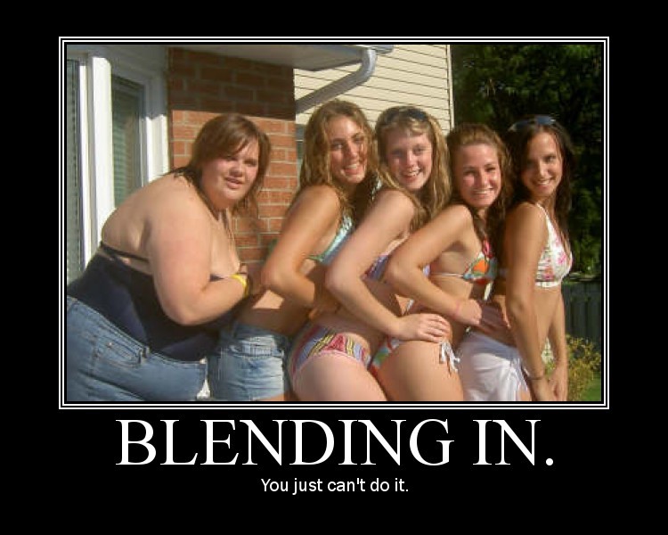 blending in - 