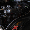 DSC 1490-border - Triumph TR4