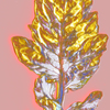torch light boast - Virus Leaves