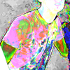 ZOMBIE FAC - profile pic edits