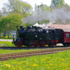 T02145 996001 Stiege - 20100521 Harz