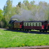 T02146 996001 Stiege - 20100521 Harz