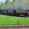 T02148 996001 Stiege - 20100521 Harz