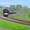 T02151 996001 Stiege - 20100521 Harz