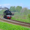 T02152 996001 Stiege - 20100521 Harz