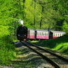 T02155 996001 Eisfelder Tal... - 20100521 Harz