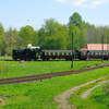 T02164 996001 Stiege - 20100521 Harz