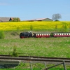 T02166 996001 Stiege - 20100521 Harz