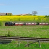 T02167 996001 Stiege - 20100521 Harz