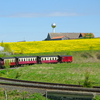 T02169 996001 Stiege - 20100521 Harz