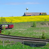 T02170 996001 Stiege - 20100521 Harz