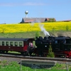 T02171 996001 Stiege - 20100521 Harz