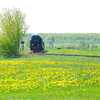 T02187 997238 Stiege - 20100521 Harz