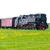 T02191 997238 Stiege - 20100521 Harz