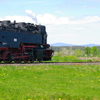 T02192 997238 Stiege - 20100521 Harz