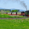 T02200 997238 Stiege - 20100521 Harz